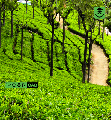 Munnar